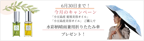 特集バナー