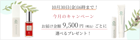 特集バナー
