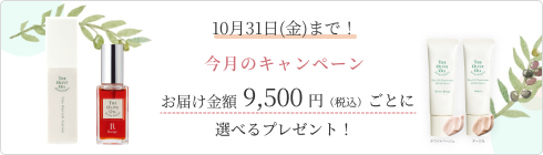 特集バナー