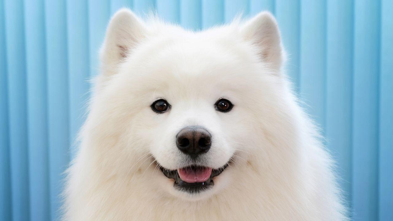 テスト